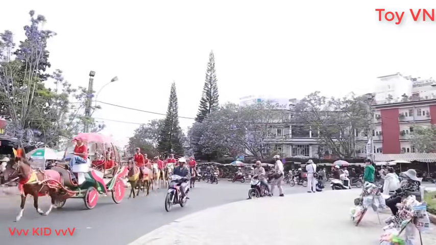 kuda